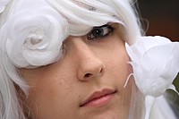 Un oeil sur le festival Delcourt...