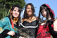 Cosplay des all&eacute;es