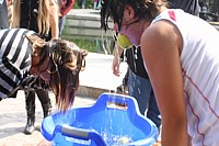Pomme � l'eau [1]
