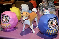 Stand Sakura Shiroi (2)