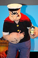 Cosplay (3)