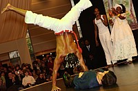 Samba et capoeira
