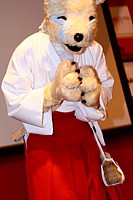 Neko en hakama (chat des contes japonais)