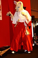 Neko en hakama (chat des contes japonais)