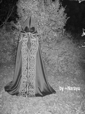 Princesse Zelda Twilight Princess (cape du d�but du jeu)